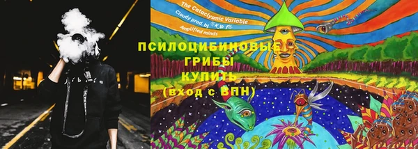 прущая мука Заводоуковск
