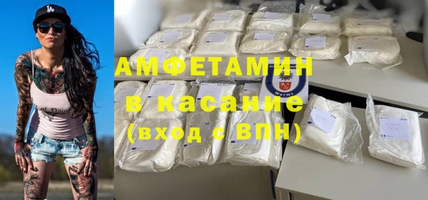 сатива Тобольск