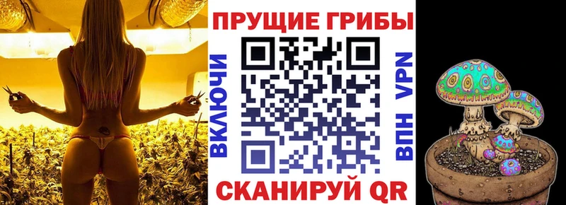 Купить закладки  Кизел  Псилоцибиновые грибы мухоморы 